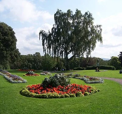 Abbey gardens - Evesham Looking beautiful on the first fine day for quite a while. Impressive looking tree, perhaps some one can say what type it is.