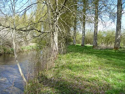 Along the river bank