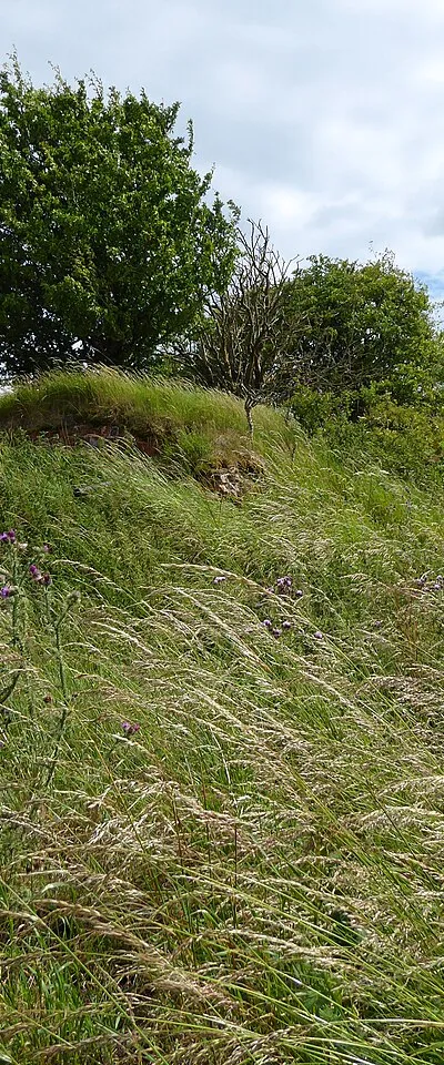 Anti-aircraft emplacement (LAA), Beranburh field, RAF Wroughton