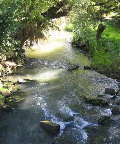 Bledington Mill: The Mill Race Taken from the same viewpoint as Jonathan's 309011 but with much more benign water flow conditions, this channel is downstream of the mill.
