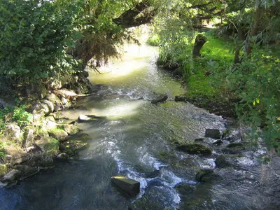 Bledington Mill: The Mill Race Taken from the same viewpoint as Jonathan's 309011 but with much more benign water flow conditions, this channel is downstream of the mill.