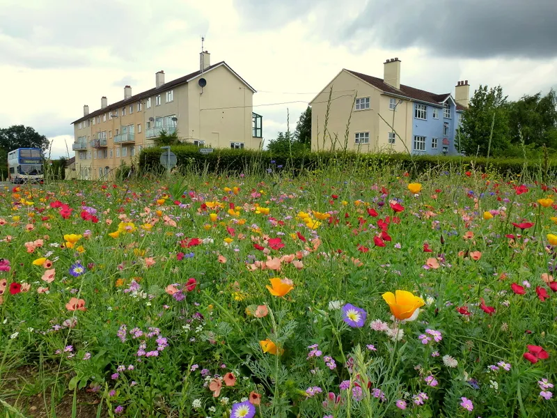 A bit of countryside in the city