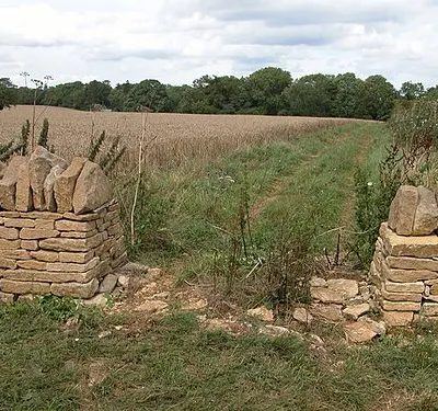 Farm headland track. The entrance to this farm headland track and field of wheat has recently been narrowed. The wood in the background is Chedworth Wood.