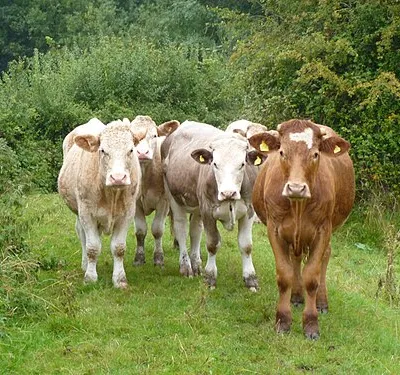 Are you leaving us so soon?
