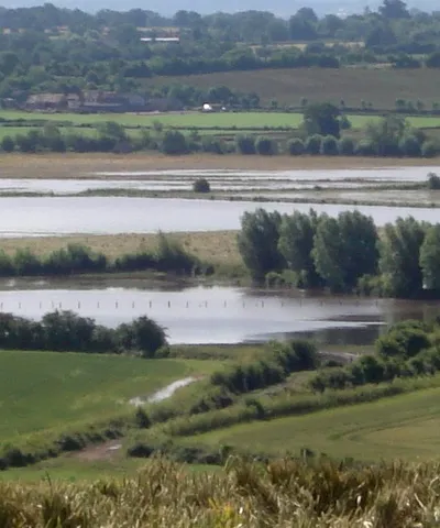 Close-up of summer floods at Longdon Marsh Taken from Longdon Hill.
