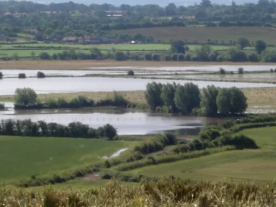 Close-up of summer floods at Longdon Marsh Taken from Longdon Hill.