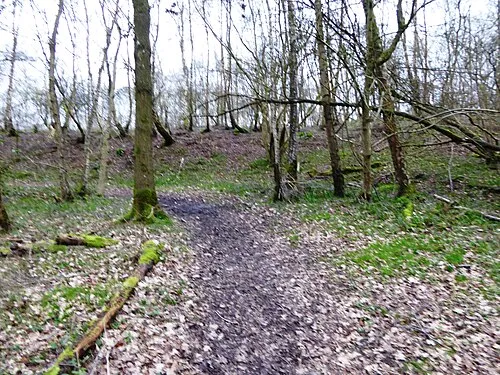 Bowdown Woods is a nature reserve south of Thatcham in Berkshire. It is managed by the Berkshire, Buckinghamshire and Oxfordshire Wildlife Trust. It is part of the Bowdown and Chamberhouse Woods Site of Special Scientific Interest.