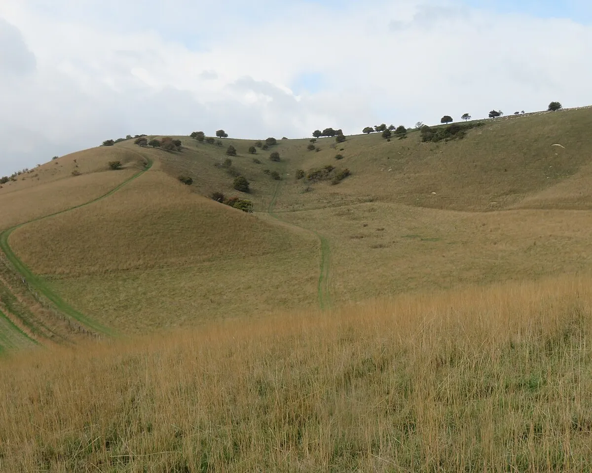 A fold in the hills