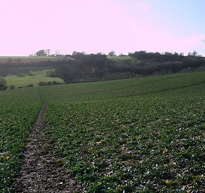 Bridleway from Upper Upham to Snap