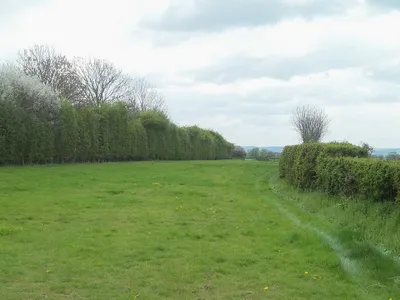 Alongside the railway
