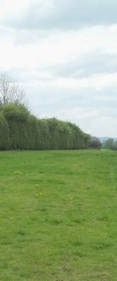Alongside the railway