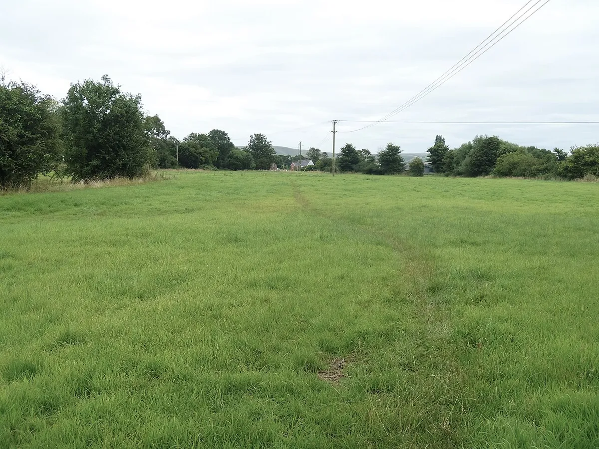 Across the field