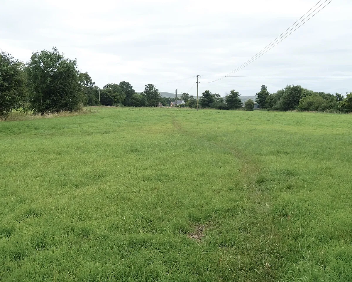 Across the field