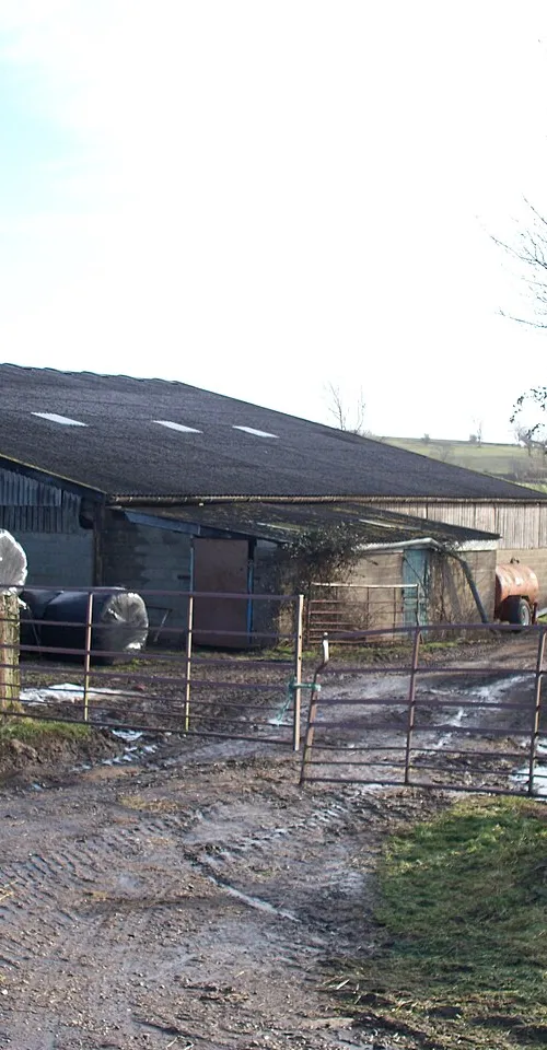 Willington