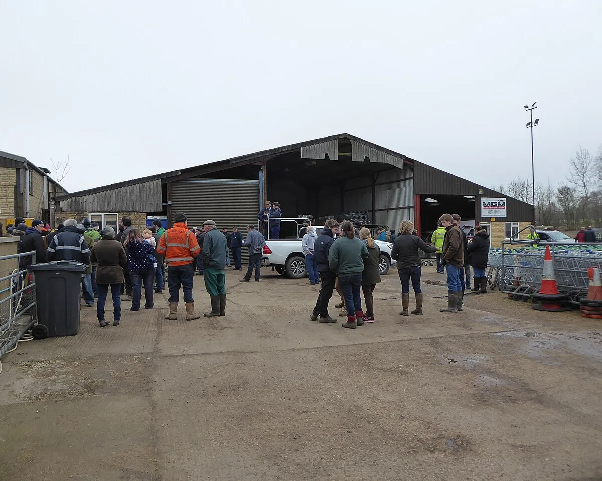 Auction, Hornburyhill Farm