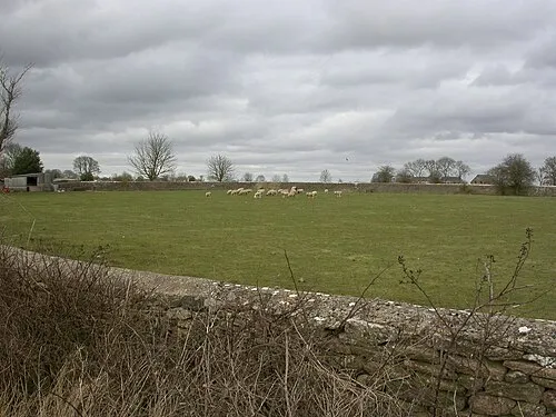 Avening, sheep grazing