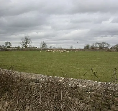 Avening, sheep grazing