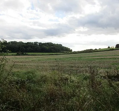 View towards Gadbury Bank