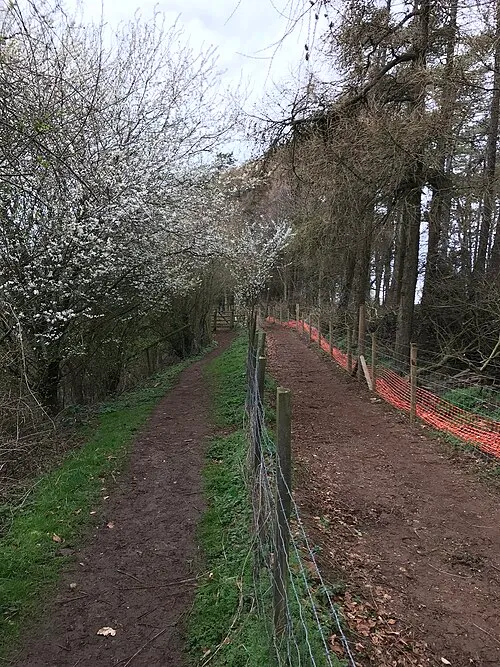 Crippet's Wood round barrows