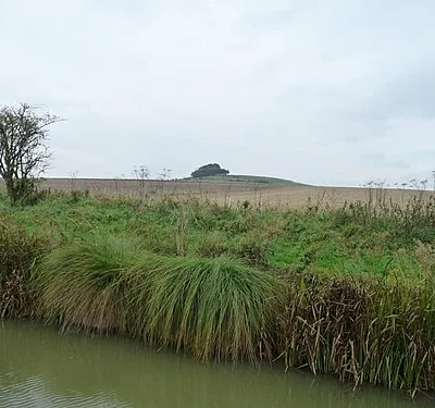North bank and towpath, Kennet &amp; Avon canal