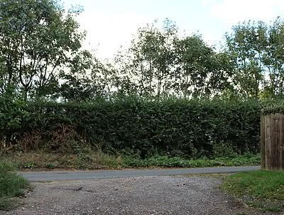 Highclere Street, Hollington Cross