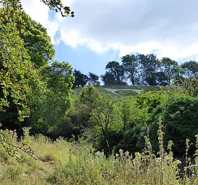 Broad Town White Horse from below