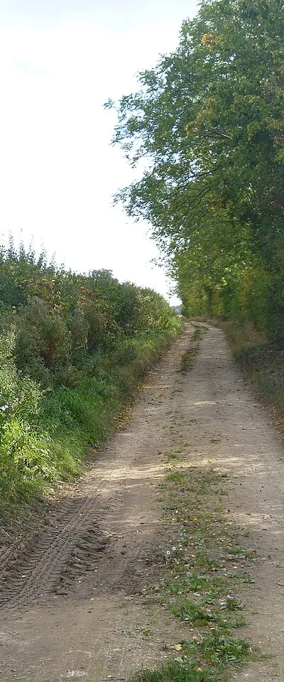 Bridleway on track