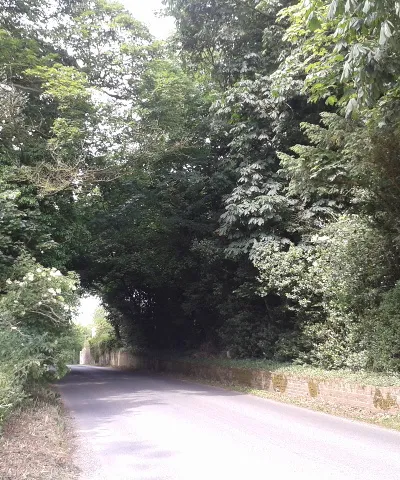 At the top of the hill, looking north