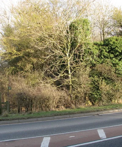 Abutment of dismantled railway bridge The stile on the left leads to a footpath that runs along the side of the embankment that once carried the Woodstock branch line. The old bridge abutment is now almost entirely covered in vegetation.