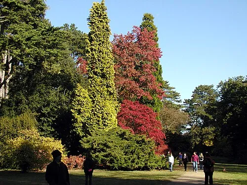 Autumn scene at Westonbirt, Gloucestershire, England.
Photographed by Adrian Pingstone on 26th October 2003 and placed in the public domain.