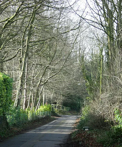 Beech Road, Box Hill A well named lane. This would have been the original A4 - or its predecessor - before it was rebuilt at a lower level to make an easier gradient on the hill.