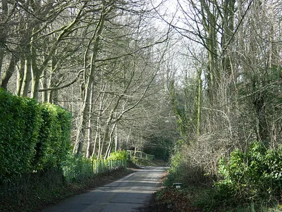 Beech Road, Box Hill A well named lane. This would have been the original A4 - or its predecessor - before it was rebuilt at a lower level to make an easier gradient on the hill.