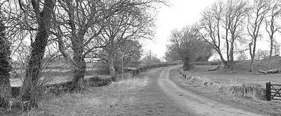 Allengrove Lane, nr Luckington, Wiltshire 2019