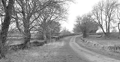 Allengrove Lane, nr Luckington, Wiltshire 2019
