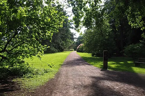 A Path through Westonbirt Arboretum