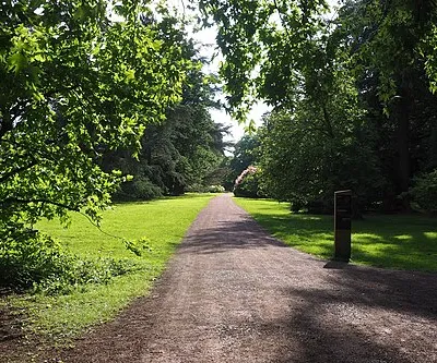 A Path through Westonbirt Arboretum