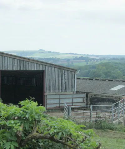 Barns on Bencroft Hill The clump of trees at the highest point of the horizon is at Furze Knoll SU0366