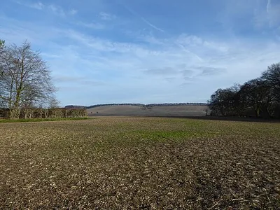 Arable in winter, Lambourn Downs