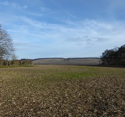 Arable in winter, Lambourn Downs