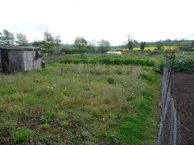 Allotments in Upper Tysoe village