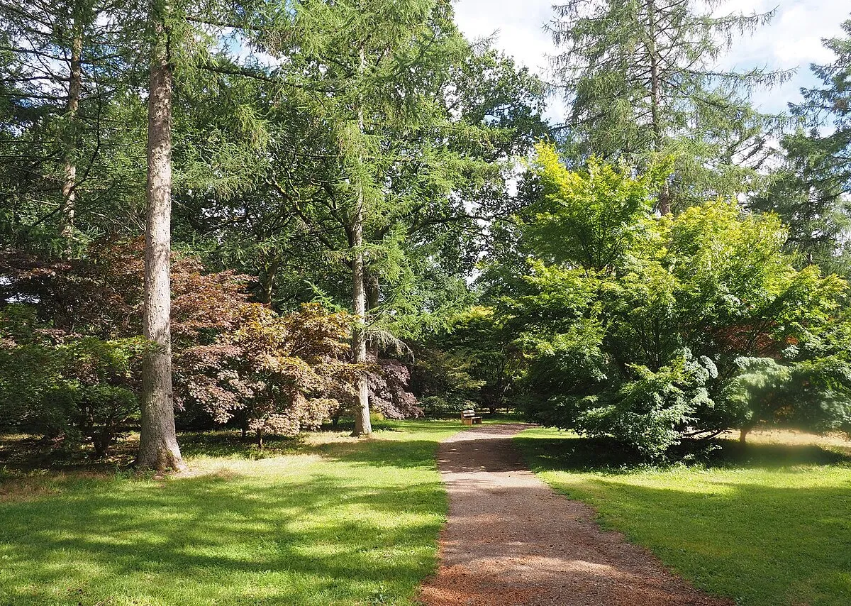 A Path in Westonbirt Arboretum