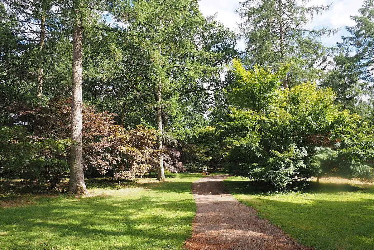 A Path in Westonbirt Arboretum
