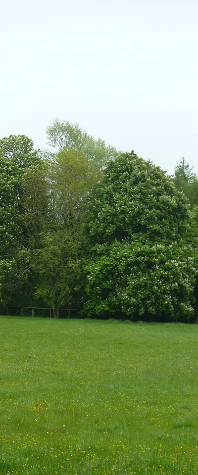 Bolton Ring