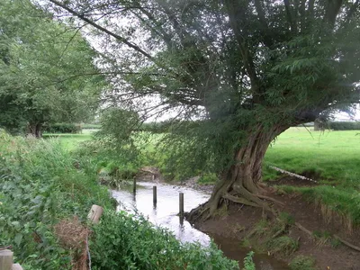 Carrant Brook