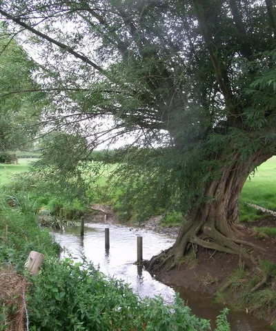 Carrant Brook