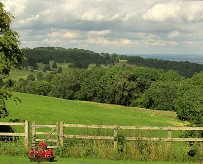 Field and trees near Snowshill