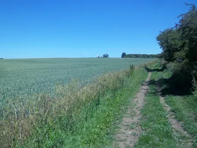 Along the byway [2]