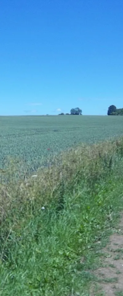 Along the byway [2]