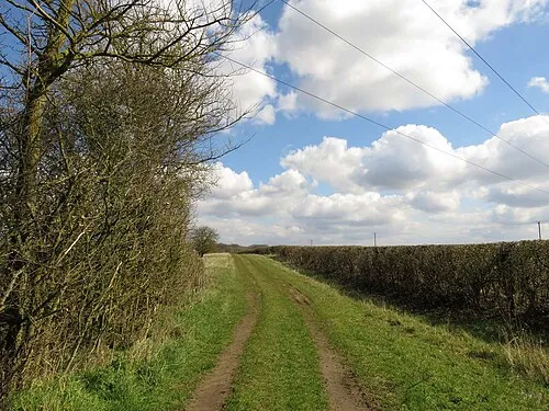 Trendle's Field