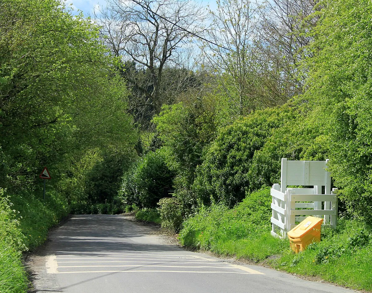 2012 : Consciences Lane, the steep bit